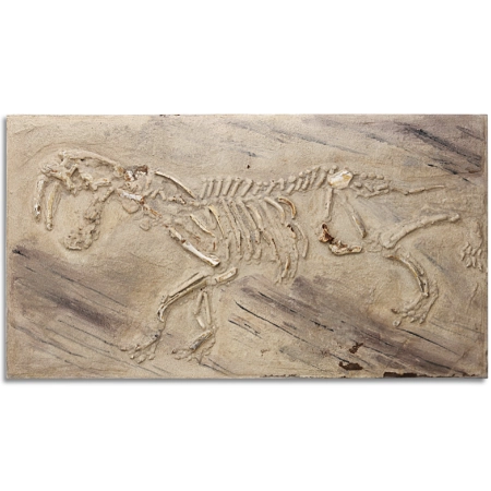 Nachbildung einer Säbelzahntiger-Versteinerung auf einer 145 x 80 cm großen Leinwand. Gefertigt aus Acrylfarben und Oxyd-/Sandmischung in Verbindung mit echten Knochen und Kunststoff, von dem zeitgenössischen Künstler Wolfram Schäfers. | mixed-art