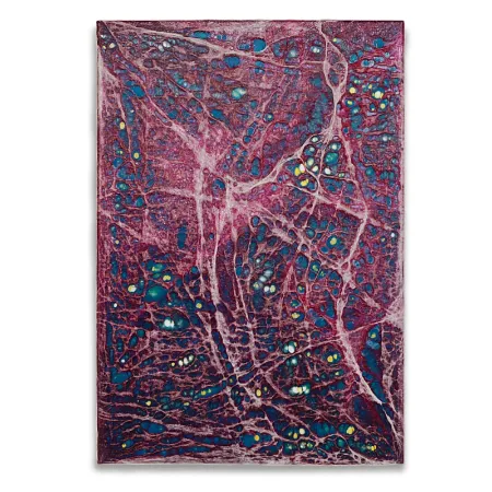 Farbige Kunststofffolien auf einer Leinwand im Format 55 cm x 80 cm. Die überstreckten, bzw. sich überlagernden Folien enthalten Zuglöcher, durch die der Blick auf die weiße Leinwand möglich wird und undurchsichtige Linien aus zusammengezogener Folie. Die sichtbare Struktur wirkt wie ein lebendes Zellensystem. | wolfram schäfers