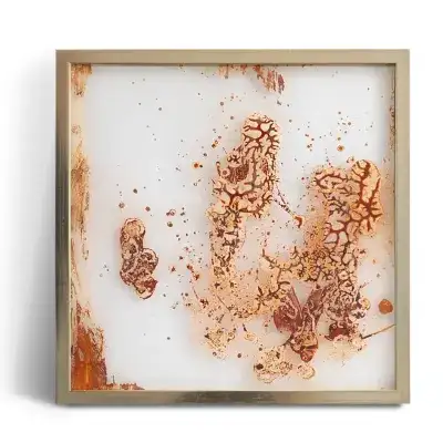 Zart aufgetragene Brauntöne mit Zellenartiger Struktur, hinter Glas in einem goldenen Rahmen.