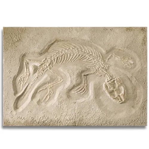 Nachbildung einer Echsen-Versteinerung auf einer 100 x 70 cm großen Leinwand. Gefertigt aus Acrylfarben und Oxyd-/Sandmischung in Verbindung mit Kunststoff auf Vlies, von dem zeitgenössischen Künstler Wolfram Schäfers. | mixed-art